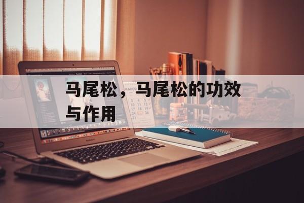 马尾松，马尾松的功效与作用-第1张图片-