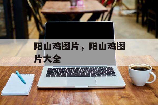 阳山鸡图片，阳山鸡图片大全-第1张图片-