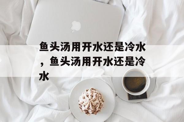 鱼头汤用开水还是冷水，鱼头汤用开水还是冷水-第1张图片-