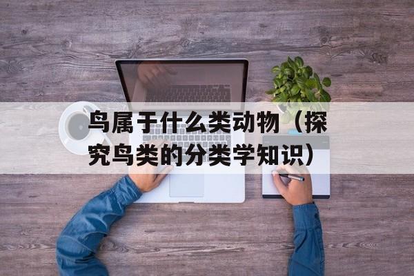鸟属于什么类动物（探究鸟类的分类学知识）-第1张图片-