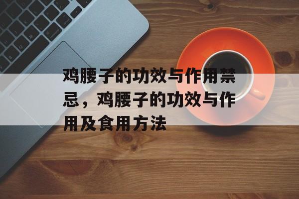 鸡腰子的功效与作用禁忌，鸡腰子的功效与作用及食用方法-第1张图片-