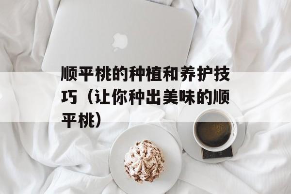 顺平桃的种植和养护技巧（让你种出美味的顺平桃）-第1张图片-