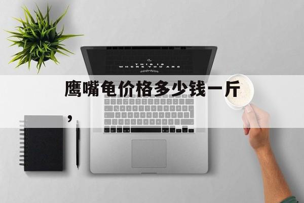 鹰嘴龟价格多少钱一斤,-第1张图片- 鹰嘴龟价格多少钱一斤,-第1张图片-