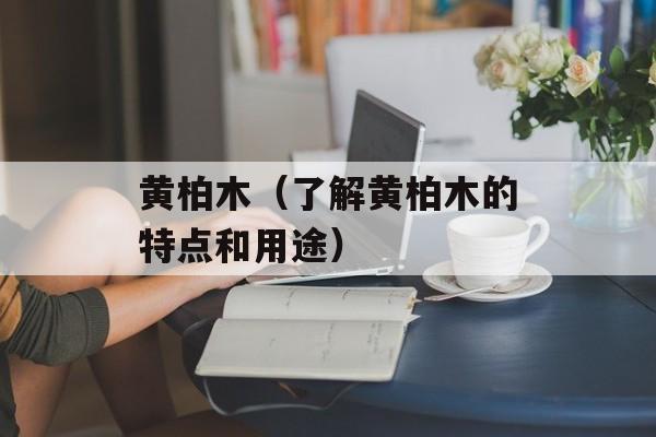 黄柏木（了解黄柏木的特点和用途）-第1张图片-