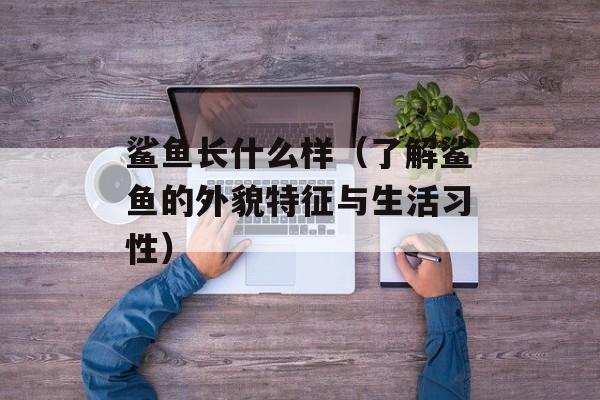 鲨鱼长什么样（了解鲨鱼的外貌特征与生活习性）-第1张图片-