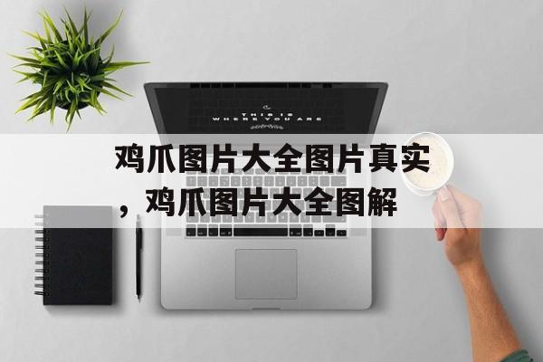 鸡爪图片大全图片真实，鸡爪图片大全图解-第1张图片-