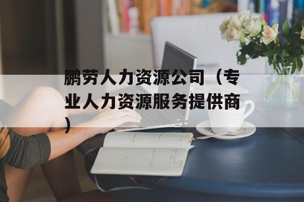 鹏劳人力资源公司（专业人力资源服务提供商）-第1张图片-