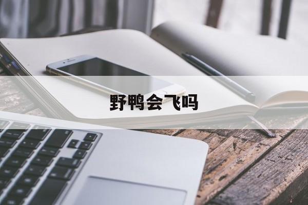 野鸭会飞吗-第1张图片-