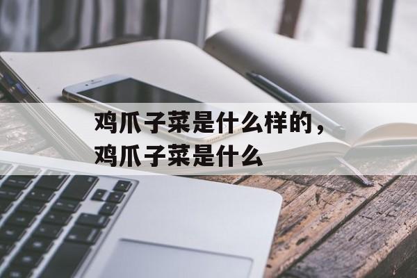 鸡爪子菜是什么样的，鸡爪子菜是什么-第1张图片-