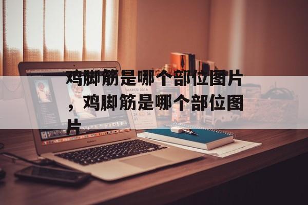 鸡脚筋是哪个部位图片，鸡脚筋是哪个部位图片-第1张图片-