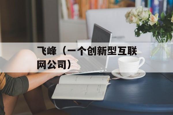 飞峰（一个创新型互联网公司）-第1张图片-