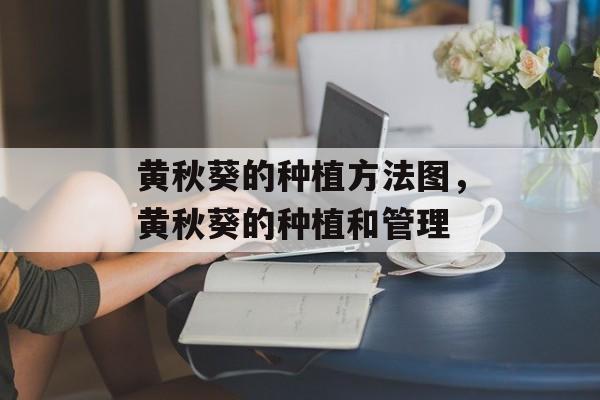 黄秋葵的种植方法图，黄秋葵的种植和管理-第1张图片-