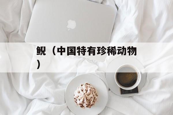 鲵（中国特有珍稀动物）-第1张图片-