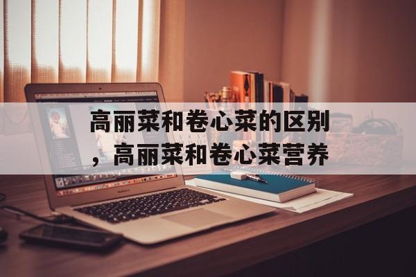 高丽菜和卷心菜的区别，高丽菜和卷心菜营养-第1张图片-