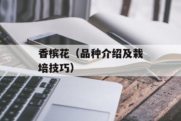 香槟花（品种介绍及栽培技巧）-第1张图片-