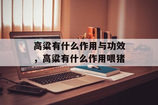 高粱有什么作用与功效，高粱有什么作用喂猪-第1张图片-