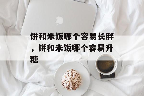 饼和米饭哪个容易长胖，饼和米饭哪个容易升糖-第1张图片-