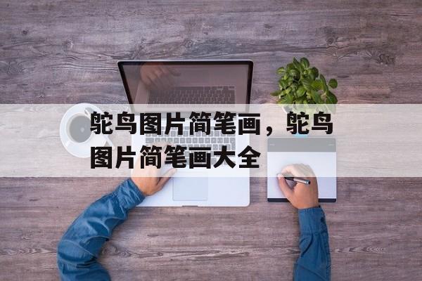 鸵鸟图片简笔画，鸵鸟图片简笔画大全-第1张图片-