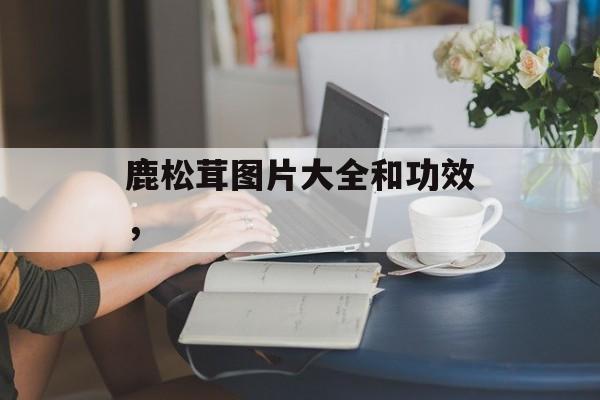 鹿松茸图片大全和功效，-第1张图片-
