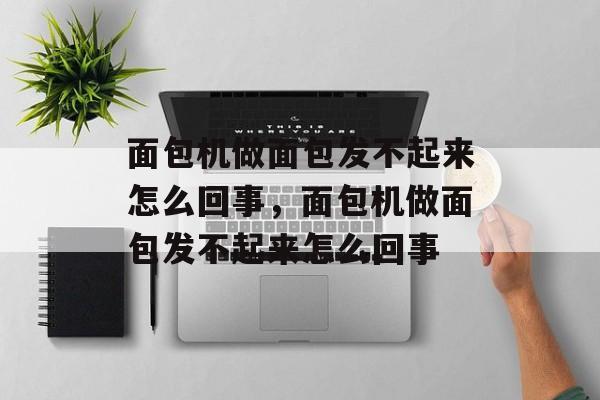 面包机做面包发不起来怎么回事，面包机做面包发不起来怎么回事-第1张图片-