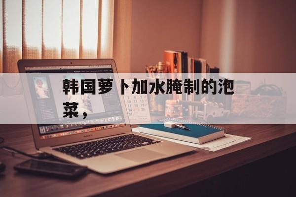 韩国萝卜加水腌制的泡菜，-第1张图片-