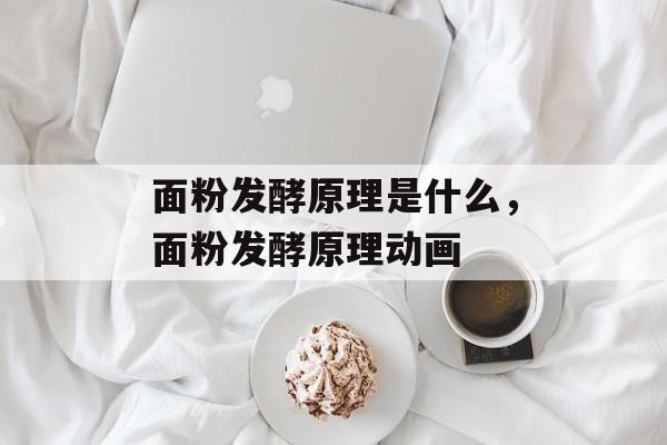 面粉发酵原理是什么，面粉发酵原理动画-第1张图片-
