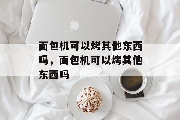 面包机可以烤其他东西吗，面包机可以烤其他东西吗-第1张图片-