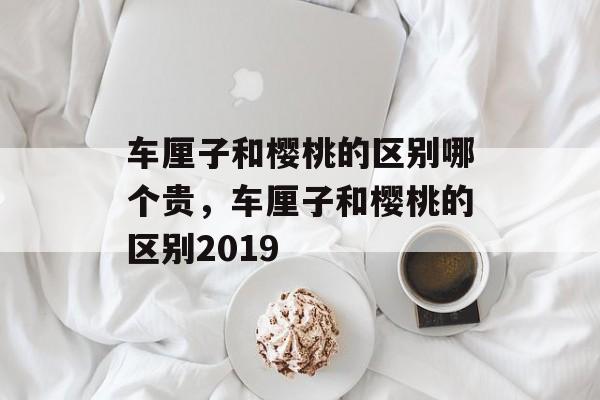 车厘子和樱桃的区别哪个贵，车厘子和樱桃的区别2019-第1张图片-