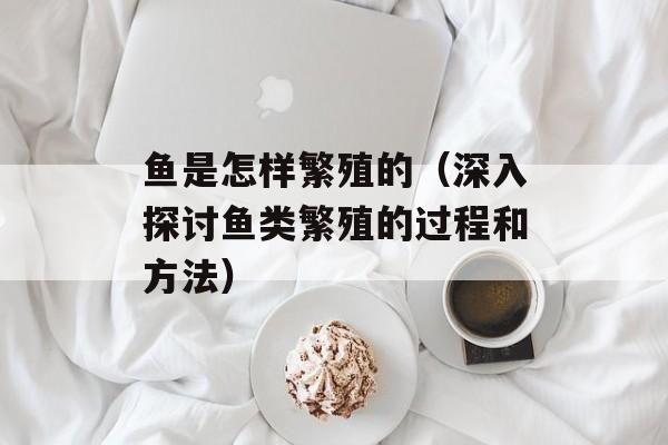 鱼是怎样繁殖的（深入探讨鱼类繁殖的过程和方法）-第1张图片-