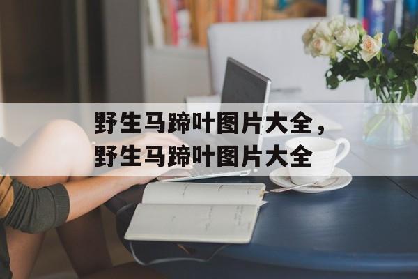 野生马蹄叶图片大全，野生马蹄叶图片大全-第1张图片-
