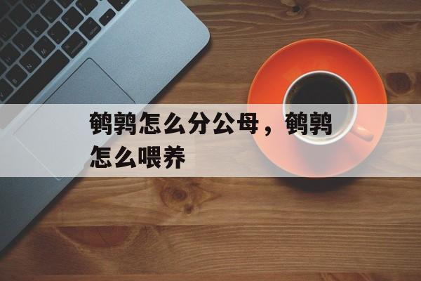 鹌鹑怎么分公母，鹌鹑怎么喂养-第1张图片-