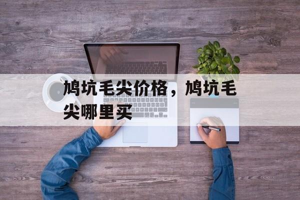 鸠坑毛尖价格，鸠坑毛尖哪里买-第1张图片-