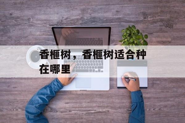 香榧树，香榧树适合种在哪里-第1张图片-