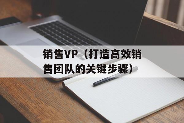 销售VP（打造高效销售团队的关键步骤）-第1张图片-