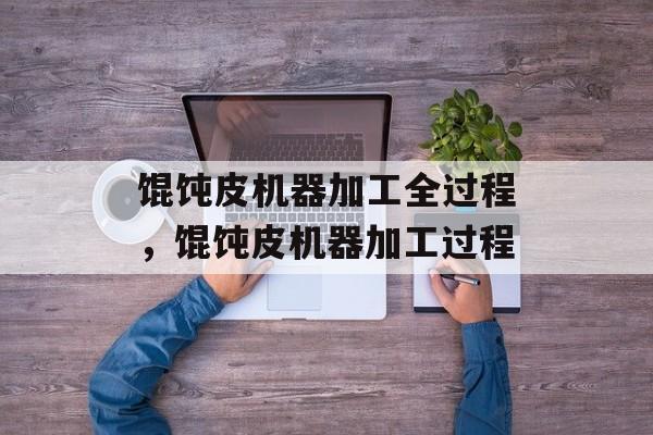 馄饨皮机器加工全过程，馄饨皮机器加工过程-第1张图片-