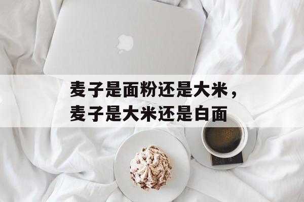 麦子是面粉还是大米，麦子是大米还是白面-第1张图片-