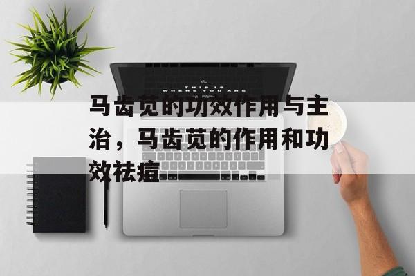 马齿苋的功效作用与主治，马齿苋的作用和功效祛痘-第1张图片-