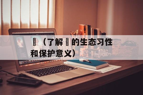 鴎（了解鴎的生态习性和保护意义）-第1张图片-