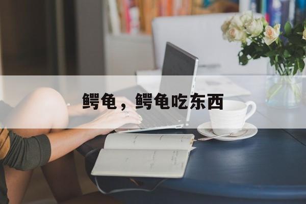 鳄龟，鳄龟吃东西-第1张图片-