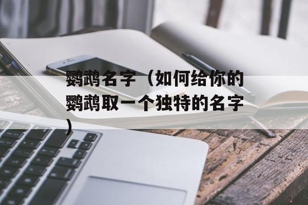 鹦鹉名字（如何给你的鹦鹉取一个独特的名字）-第1张图片-