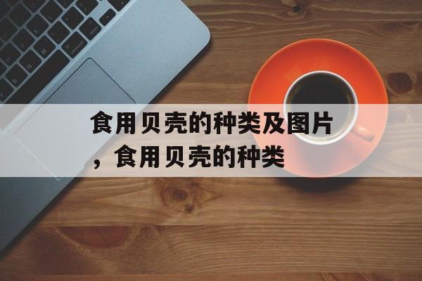食用贝壳的种类及图片，食用贝壳的种类-第1张图片-