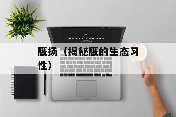 鹰扬（揭秘鹰的生态习性）-第1张图片-