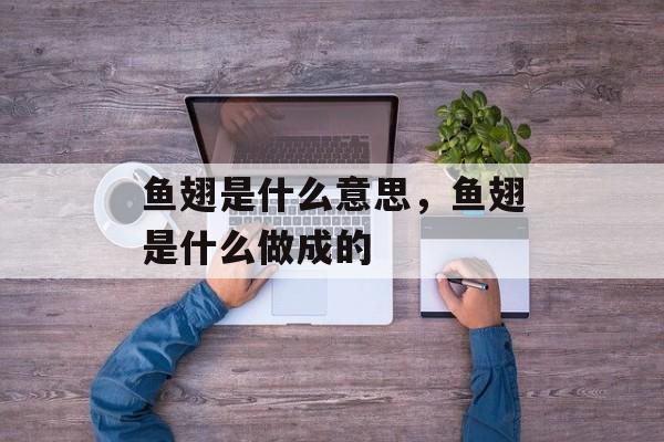 鱼翅是什么意思，鱼翅是什么做成的-第1张图片-