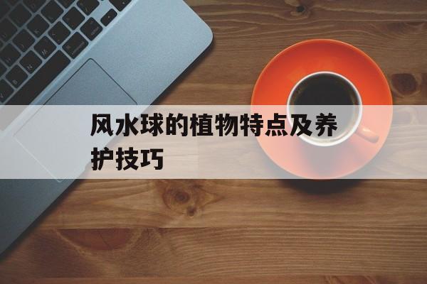 风水球的植物特点及养护技巧-第1张图片-