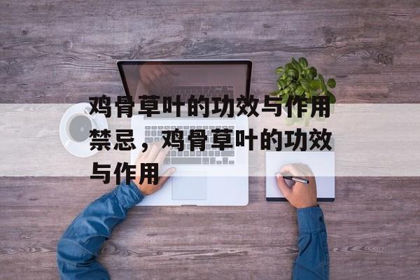 鸡骨草叶的功效与作用禁忌，鸡骨草叶的功效与作用-第1张图片-