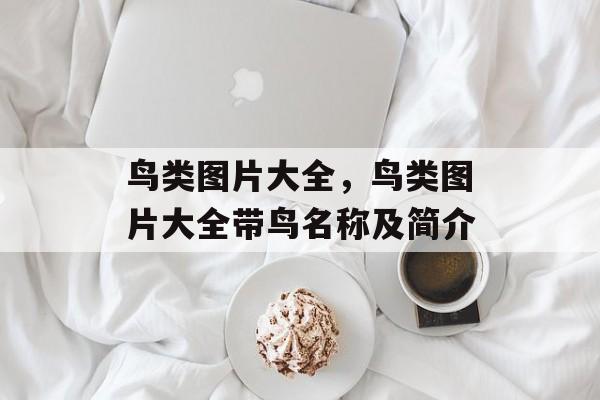 鸟类图片大全，鸟类图片大全带鸟名称及简介-第1张图片-