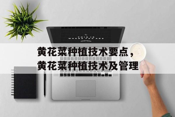 黄花菜种植技术要点，黄花菜种植技术及管理-第1张图片-