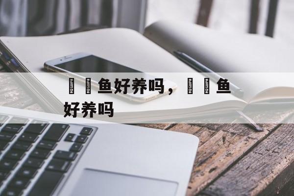 鳑鲏鱼好养吗，鳑鲏鱼好养吗-第1张图片-