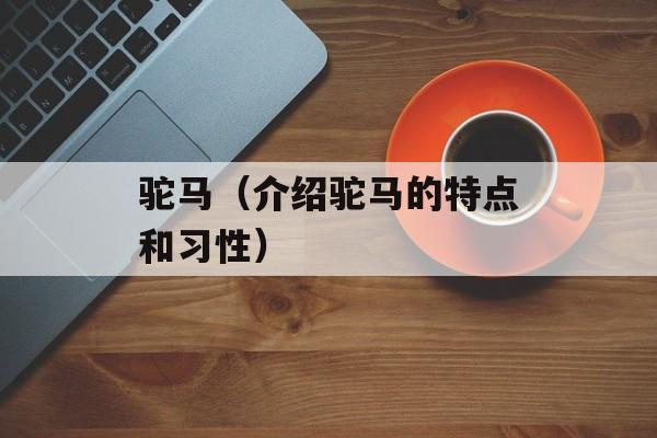 驼马（介绍驼马的特点和习性）-第1张图片-