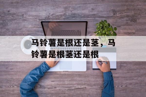 马铃薯是根还是茎，马铃薯是根茎还是根-第1张图片-